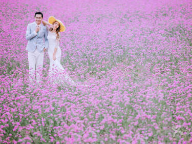 Flowers and romant系列