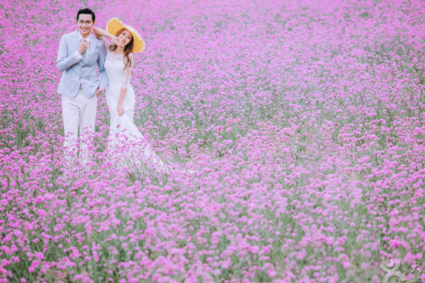 Flowers and romant系列