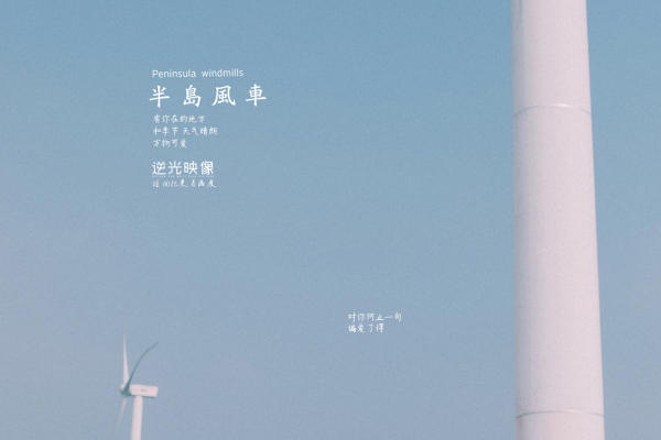 让人眼前一亮的风车婚纱照
