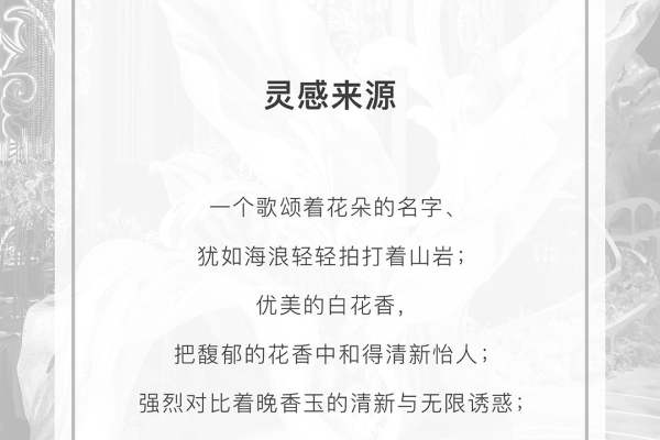 艾丽丝仙境