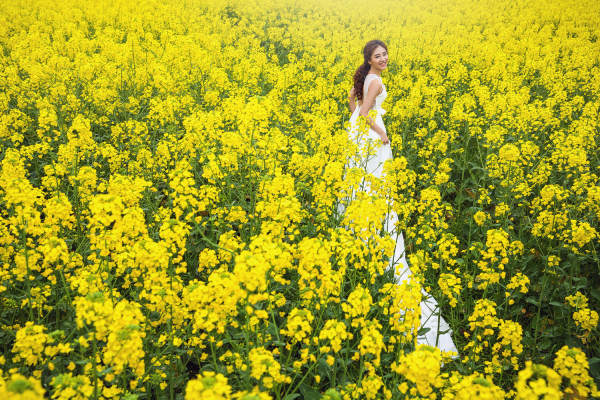 绿茵油菜花田