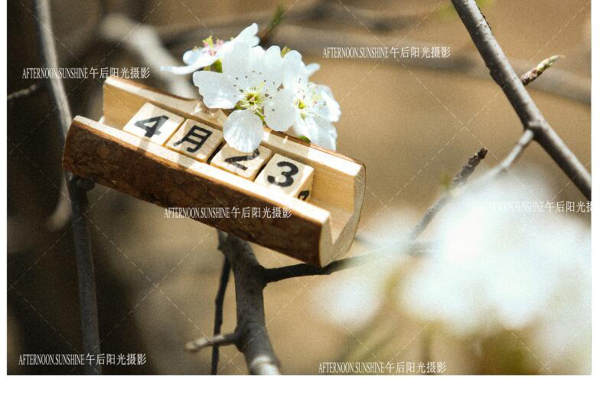 午后阳光，客片
