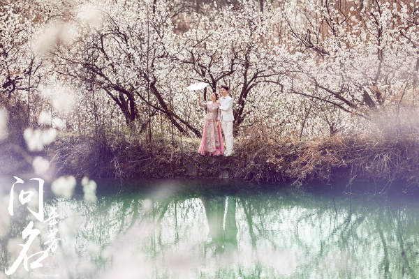 十里樱花《醉余春》