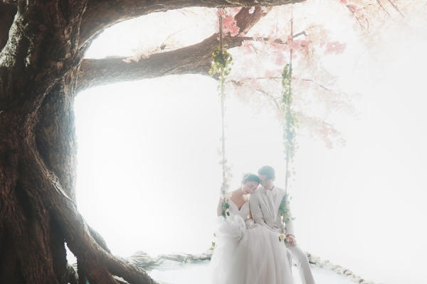 飞鹰婚纱 | 株洲绿地高定樱花树主题婚纱照