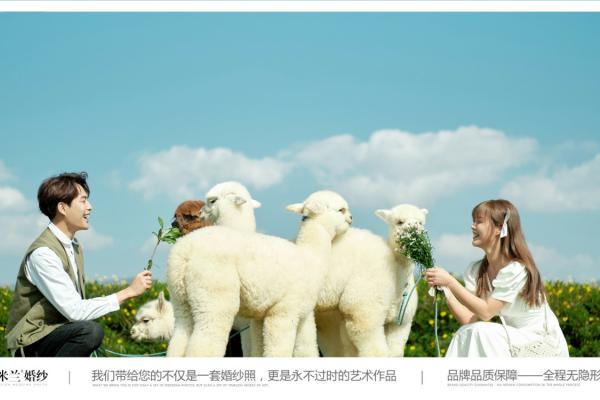 卢先生&陈小姐INS纪实清新客照欣赏
