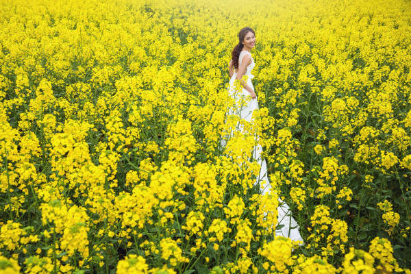 花海