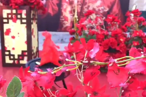 许昌蜜糖婚礼（庭院中式婚礼)