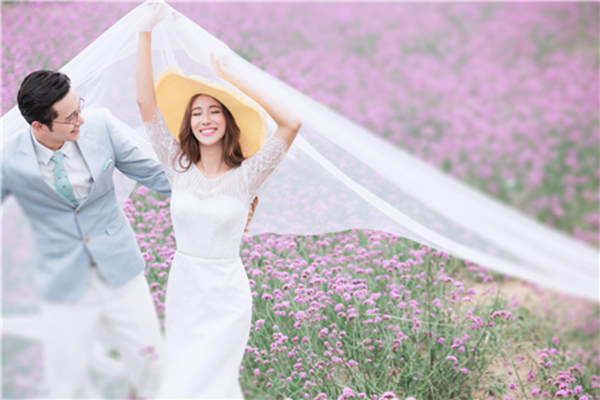 紫色花开