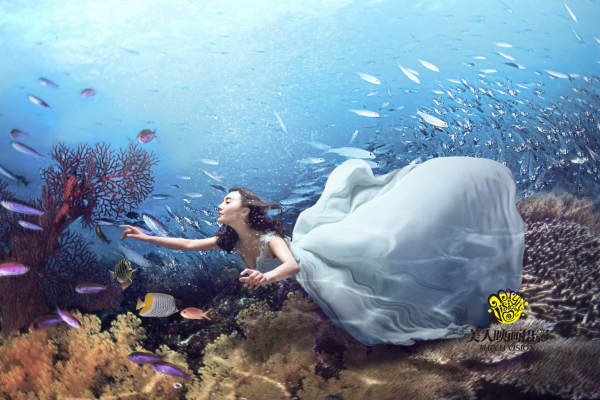 海豚湾恋人