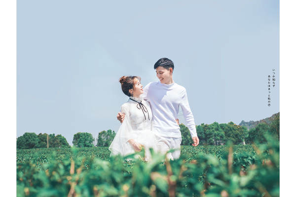 2019全新主题【茶恋】