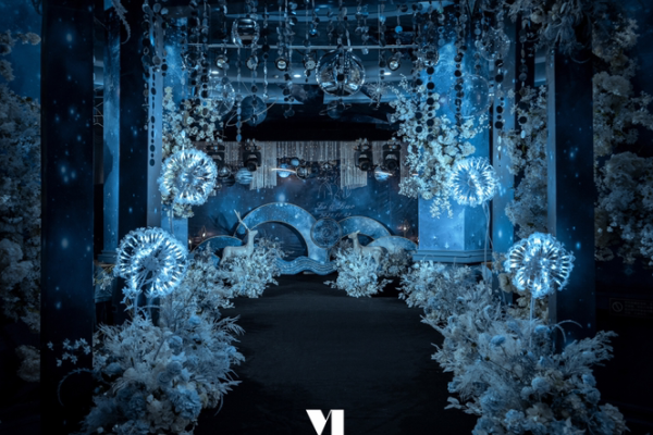 梦幻星空系列之一高级婚礼｜薇瑷婚礼定制