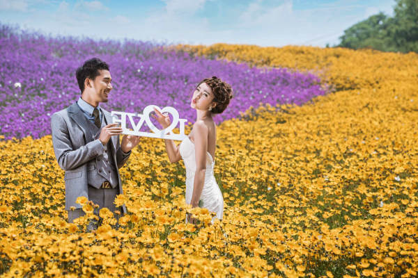 【陌上】弥漫*花海