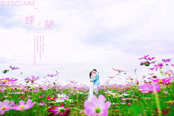 李先生&刘女士