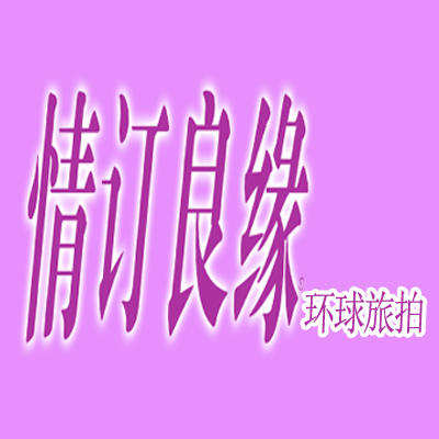 泰安市情订良缘全球旅拍logo