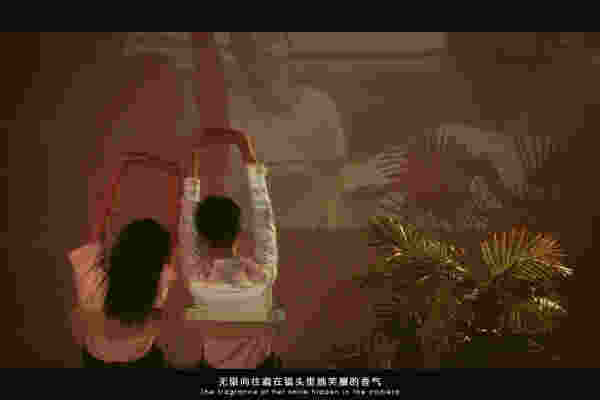荧幕之光纪实系列