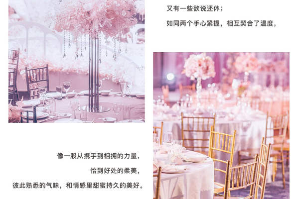 艾丽丝仙境