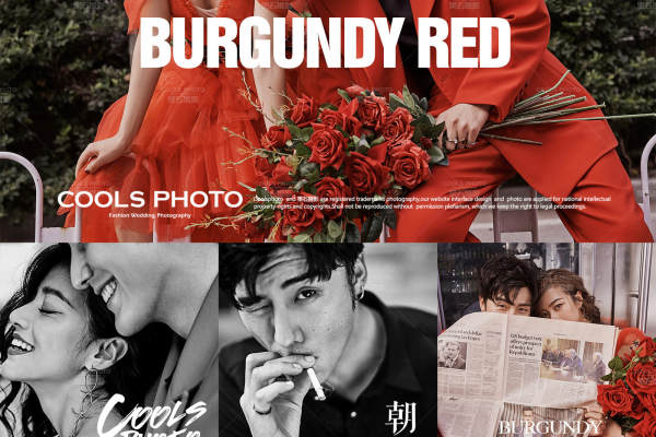 勃艮第红 BURGUNDY RED