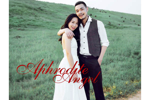 张先生&林女士