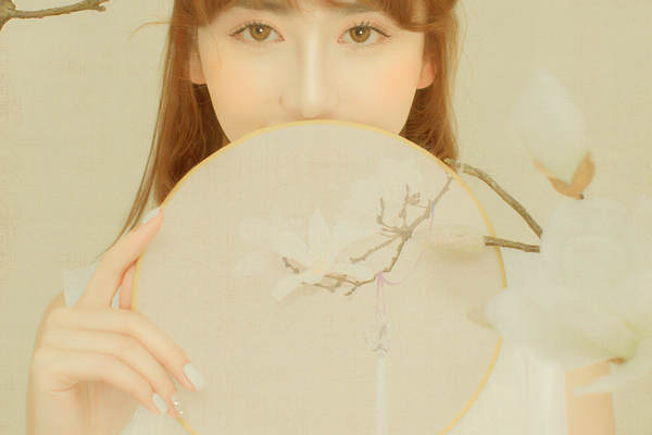 华美区 (醉花影)