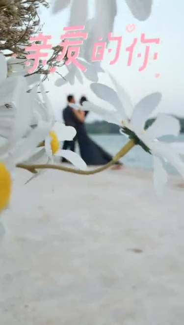 520的小甜蜜