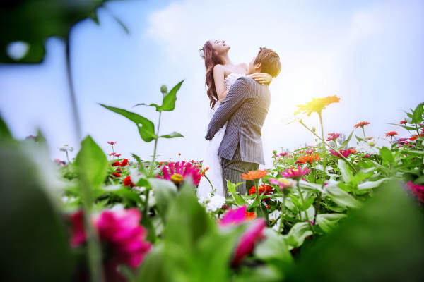 仙度瑞拉花海