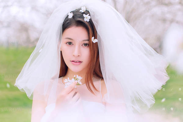 【春季花海|樱花曼舞】