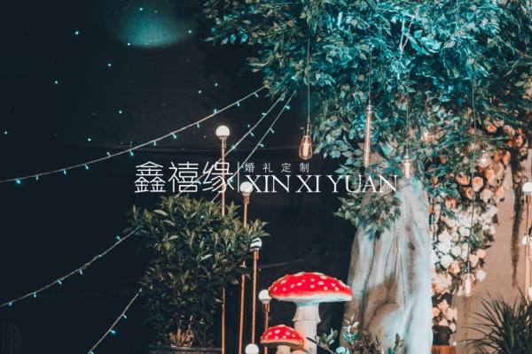 鑫禧缘婚礼定制｜鹿与精灵