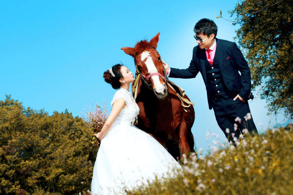 李树夫妇