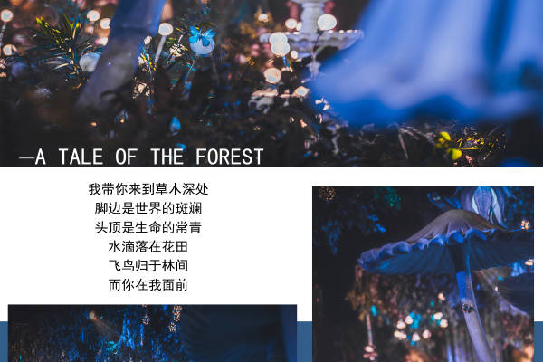 月初 |  梦幻森系婚礼