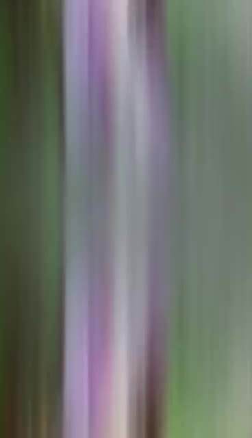 女王节活动开始预约啦