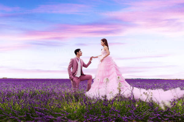 《炫色XUAN SE》——《倾心花海》