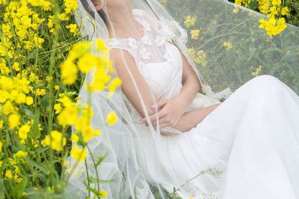 油菜花田