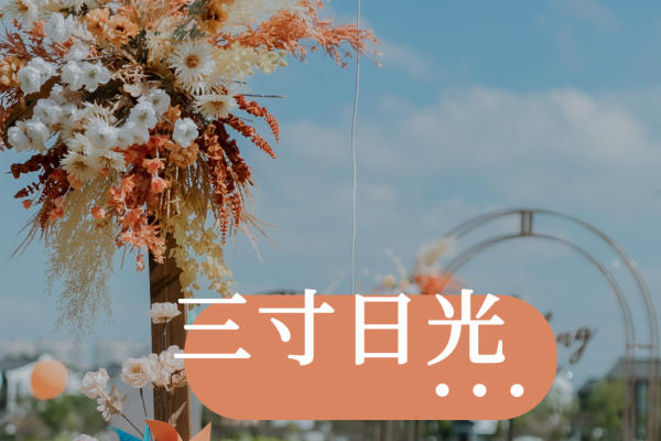 【杜克蓝岛】户外橙色草坪婚礼