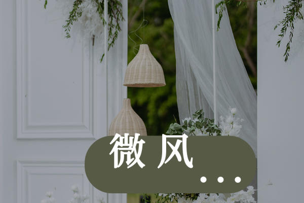 【杜克蓝岛】白绿色户外草坪婚礼