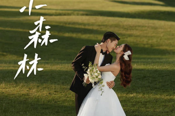 【皇家经典】森系、大气、唯美