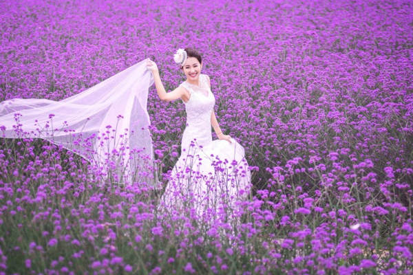 【薰衣草花海】客照赏析