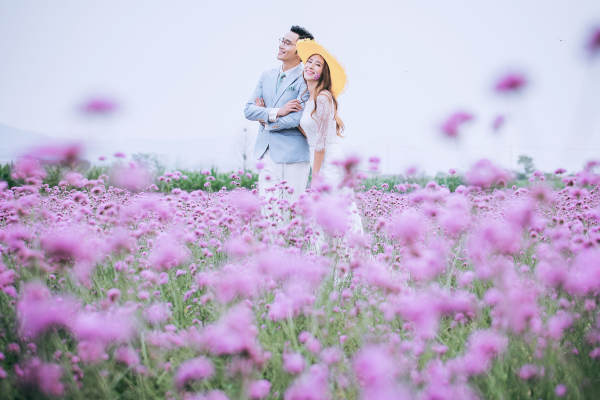 李先生&李女士