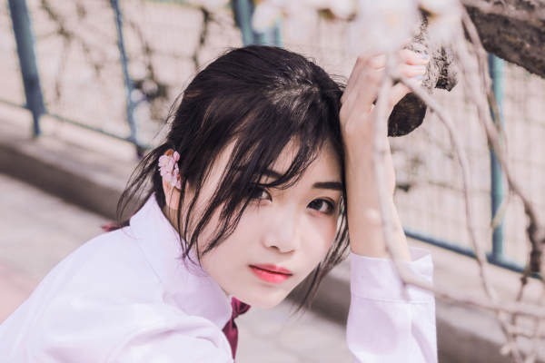 刘先生&刘女士