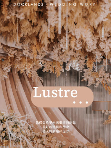 【杜克蓝岛】香槟色梦幻婚礼