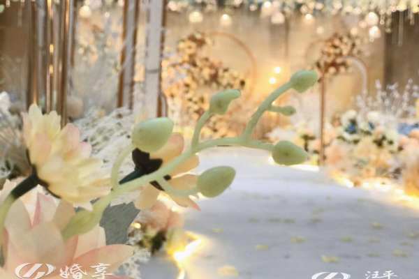 香槟色婚礼——婚享创意婚礼