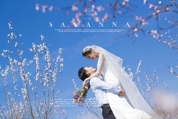 2019（春暖花开)1