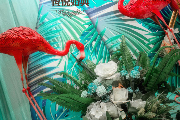 热带雨林风格清新小森系火烈鸟风格