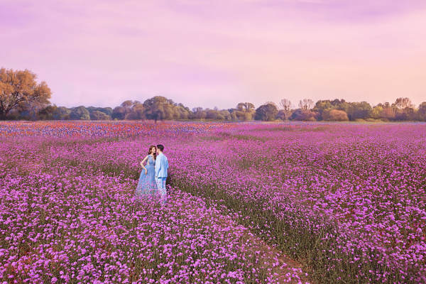 花园爱情