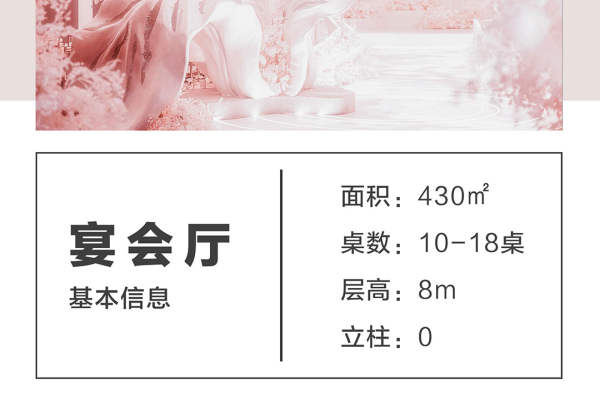 艾丽丝仙境