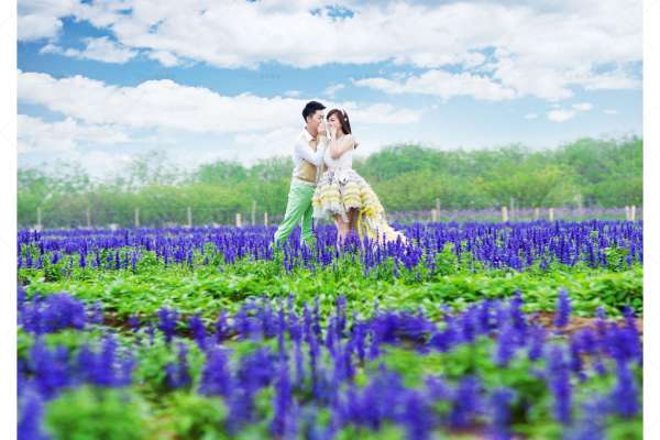 张先生&李女士