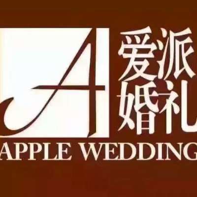 兰州市爱派主题婚礼定制logo