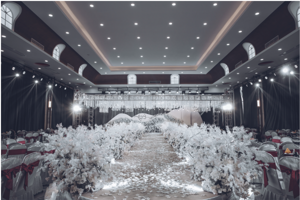 多彩婚庆梦幻大气白色系列