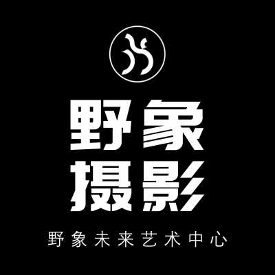 野象摄影艺术空间logo