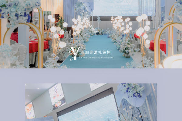 主题：《蓝心》案例分享