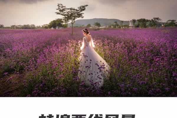 蚌埠西线居然有这样的拍摄场地